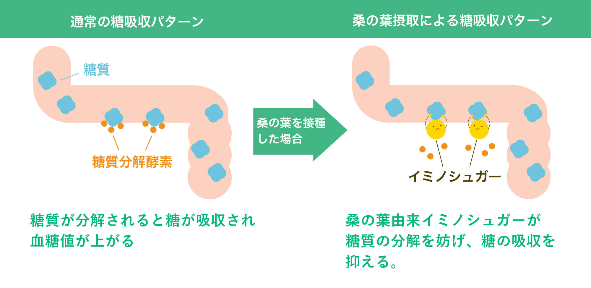 メカニズム