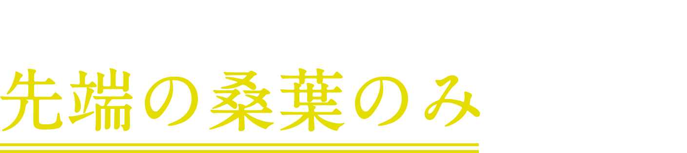 メカニズム